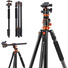 K&F Concept T254A7 Magnesium Alloy Tripod with BH-28L Ball Head