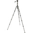 3 Legged Thing Punks Brian 2.0 Video Tripod System (Darkness)
