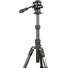 3 Legged Thing Punks Brian 2.0 Video Tripod System (Darkness)