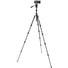 3 Legged Thing Punks Brian 2.0 Video Tripod System (Darkness)
