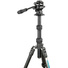 3 Legged Thing Punks Corey 2.0 Video Tripod System (Darkness)