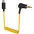Deity C21 3.5mm TRS to USB-C Coiled Audio Cable