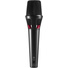 Austrian Audio OD303 Supercardioid Dynamic Handheld Vocal Microphone