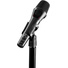 Austrian Audio OD303 Supercardioid Dynamic Handheld Vocal Microphone