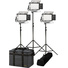 Ikan Rayden Half x1 Daylight 5600 3-Point LED Light Kit