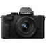 Panasonic Lumix G100D Mirrorless Camera with 12-32mm Lens
