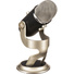 Blue Yeti Pro USB & XLR Microphone