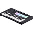 Novation Launchkey 25 Mini MK4 MIDI Controller Keyboard