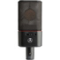 Austrian Audio OC818 Dual Set Plus Large-Diaphragm Multipattern Condenser Microphone (Pair, Black)