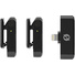 RODE Wireless Micro Ultra-Compact Wireless Microphone (Lightning, Black)