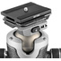 Gitzo GIGH4383QD Series 4 Center Ball Head with Arca-Type Screw Knob QR Receiver