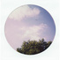 Polaroid Color 600 Instant Film (Round Frame, 8 Exposures)