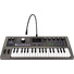 Korg microKORG 2 Advanced Synthesizer and Vocoder (Black)