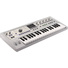 Korg microKORG 2 Advanced Synthesizer and Vocoder (White)