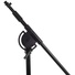 Proel Floor Mic Stand with Adjustable Boom (Black)