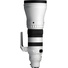 Sigma 300-600mm f/4 DG OS Sports Lens (L-Mount)