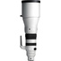 Sigma 300-600mm f/4 DG OS Sports Lens (L-Mount)