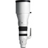 Sigma 300-600mm f/4 DG OS Sports Lens (L-Mount)