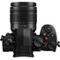 Panasonic Lumix G97 Mirrorless Camera with 12-60mm f/3.5-5.6 Lens