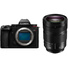 Panasonic Lumix S5 II Mirrorless Digital Camera with 24-105mm f/4 Macro O.I.S. Lens