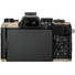 OM SYSTEM OM-5 Mark II Mirrorless Camera (Sand Beige)