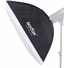 Godox SL-60IID LED Video Light with Stand & Softbox