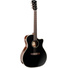 Cort Essence-GA4 Acoustic Guitar with Bag (Black Top Semi-Gloss)
