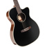 Cort Essence-OC4 Acoustic Guitar with Bag (Black Top Semi-Gloss)