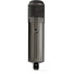 Warm Audio WA-47 Large-Diaphragm Tube Condenser Microphone (Limited-Edition Titanium)