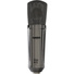 Warm Audio WA-87 R2 Multi-Pattern Condenser Microphone (Limited-Edition Titanium)