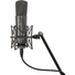 Warm Audio WA-87 R2 Multi-Pattern Condenser Microphone (Limited-Edition Titanium)