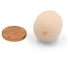 Bubblebee Industries The Microphone Foam for Lavalier Mics Pop Filter (Large, Beige, 5-Pack)