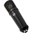 Warm Audio WA-87jr SE Large-Diaphragm Cardioid Condenser Microphone (Black)