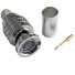 Canare BCP-D55UHD 75-Ohm BNC Male Crimp Connector for L-5.5CUHD Cable