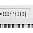 Korg L1 Liano LIVE! 88-Key Streaming Piano