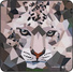 SmallRig 6038 Wild China Film Series Camera Wrap (Snow Leopard Pattern)