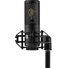 Shure KSM32C/SM Cardioid Condenser Microphone (Studio Kit)