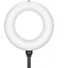 Godox LR150 Air Bi-Color Inflatable LED Ring Light (60 cm)