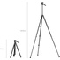 SmallRig 5885 Portable Carbon Fiber Tripod for Action Cameras