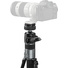 SmallRig x Potato Jet 6285 TRIBEX PRO Monopod (Photography Version)