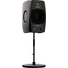 Adam Professional Audio D3V Active Desktop Monitoring System (Black)