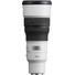 Sony FE 600mm f/6.3 GM OSS Lens (Sony E)