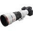 Sony FE 600mm f/6.3 GM OSS Lens (Sony E)
