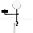 Nanlite LS-DC-1/4 Desk Clamp Stand with 1/4"-20