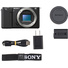 Sony ZV-E10 Mirrorless Camera with 16-50mm f/3.5-5.6 II Lens (Black)