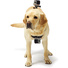 GoPro Fetch Dog Harness for GoPro HEROs