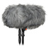 DPA Microphones 4017B-R Professional Shotgun Microphone with Rycote Windshield