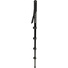 Manfrotto MMC3-01 - Compact Monopod (Black)