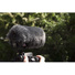 Rycote Mini Windjammer for Rode VideoMic Pro with Lyre