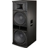 Electro-Voice ELX215 Dual 15" Live X 2-Way Passive Loudspeaker